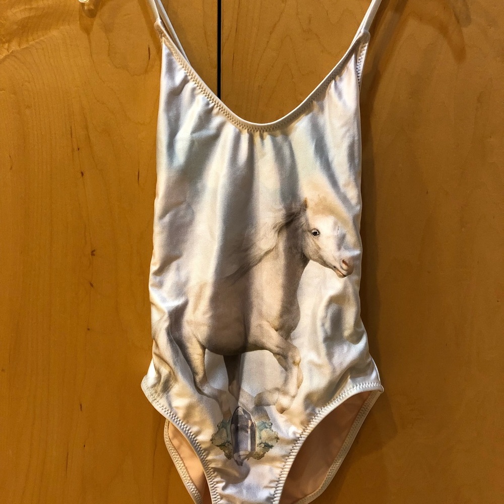 Wildfox one piece swimsuit